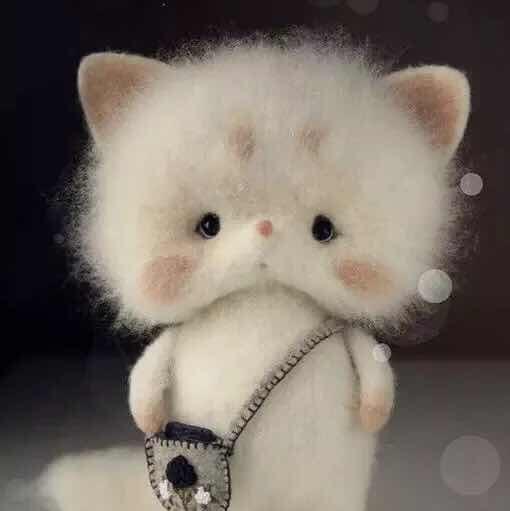 小棉小棉小棉棉