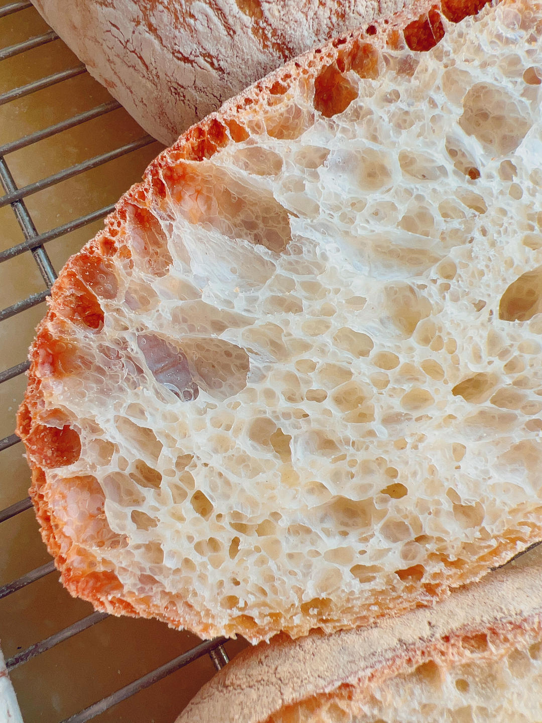 恰巴塔面包  Ciabatta