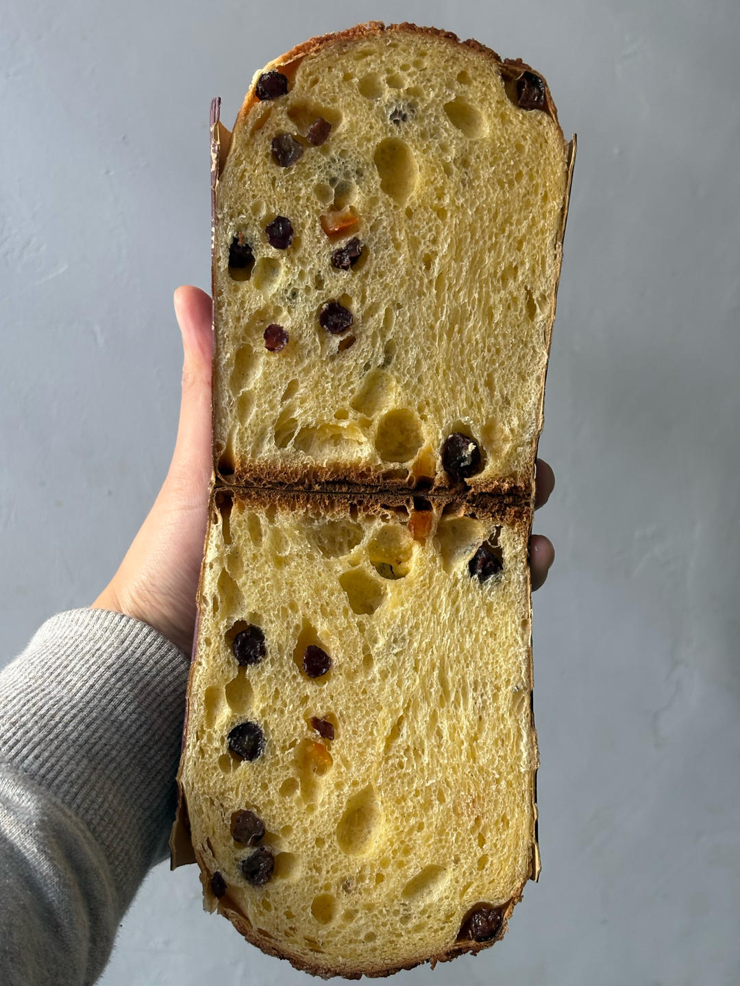 详细无比的鲁邦硬种潘娜托尼