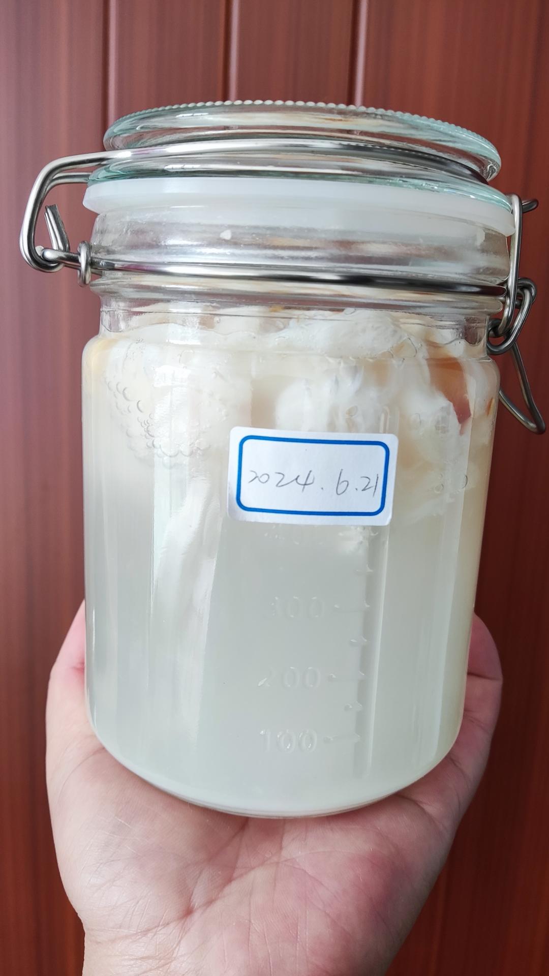 水果酵液 🍇🍋🍑                            （葡萄 荔枝 油桃 柠檬）