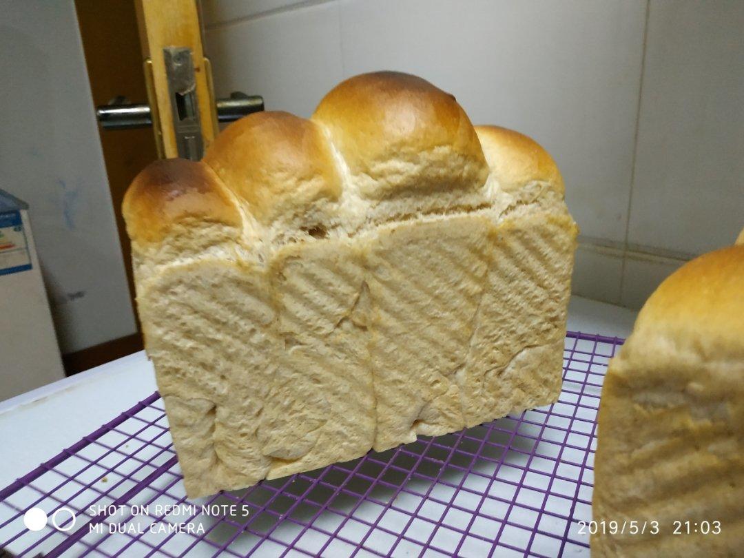 全麦波兰酵头吐司