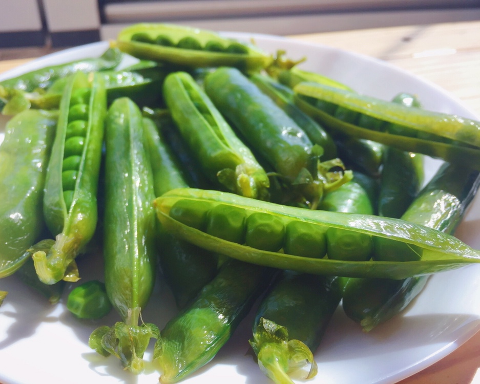 一口春天：水煮豌豆荚