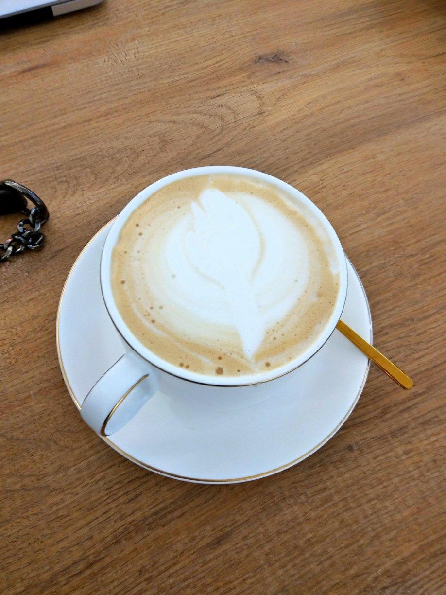 无意式咖啡机家庭拉花系列——国产双层打奶泡壶打奶泡教程