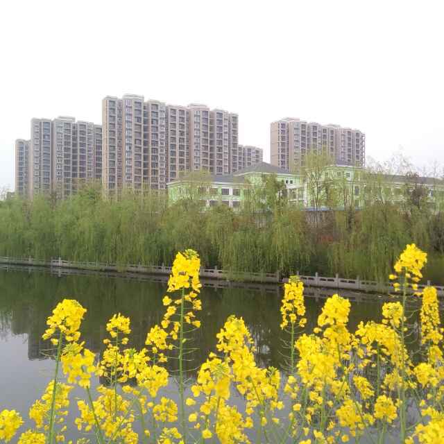 潘多拉1989