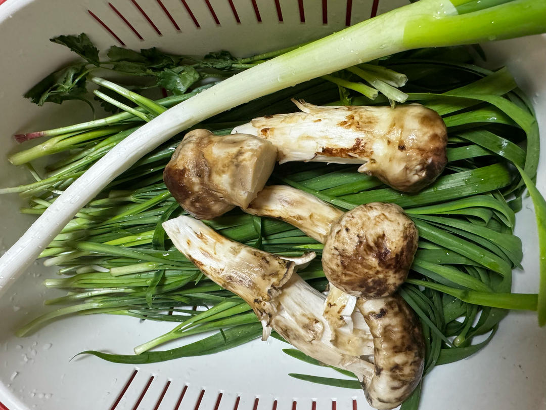 松茸韭菜馅饺子