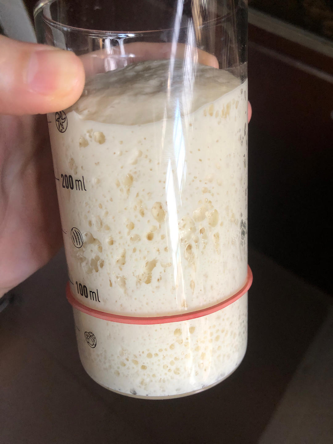 天然酵种培养记（小白记录用）（or鲁邦种）