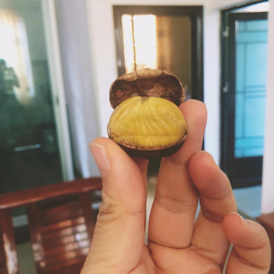 新手零失败烤栗子
