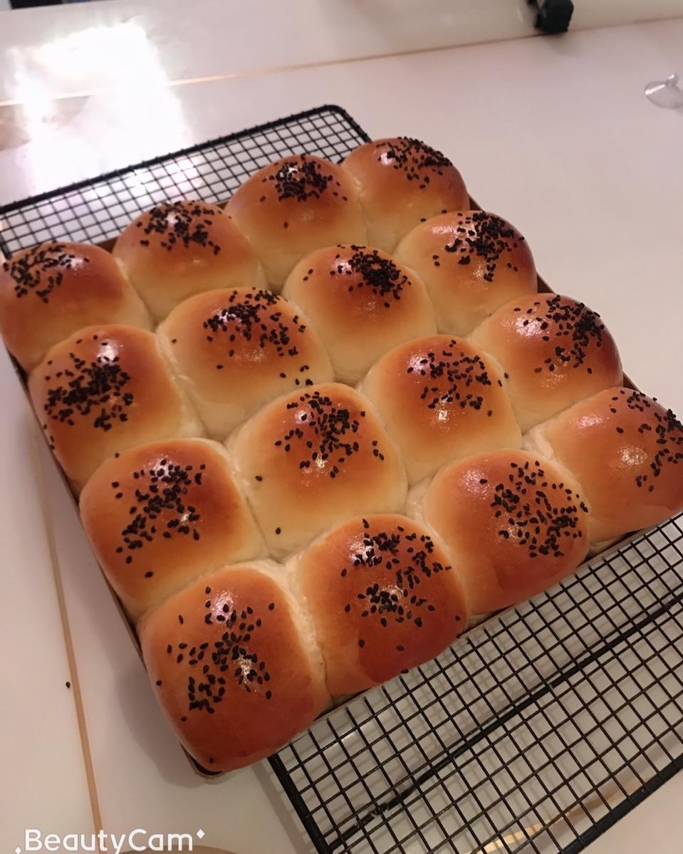 鲜奶油小餐包（一次发酵）