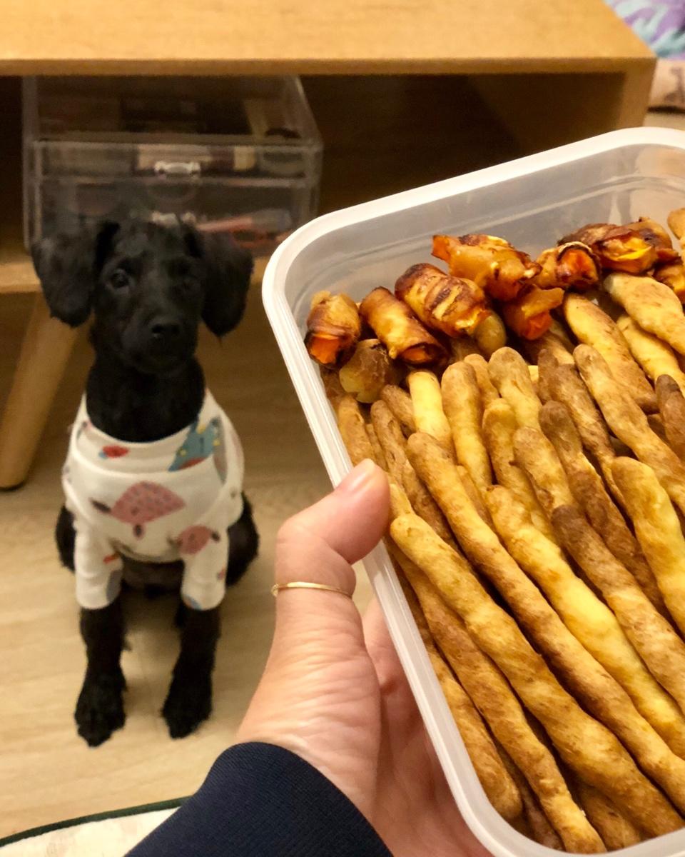 狗狗零食（鸡胸胡萝卜棒）