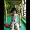 南飞雁-2