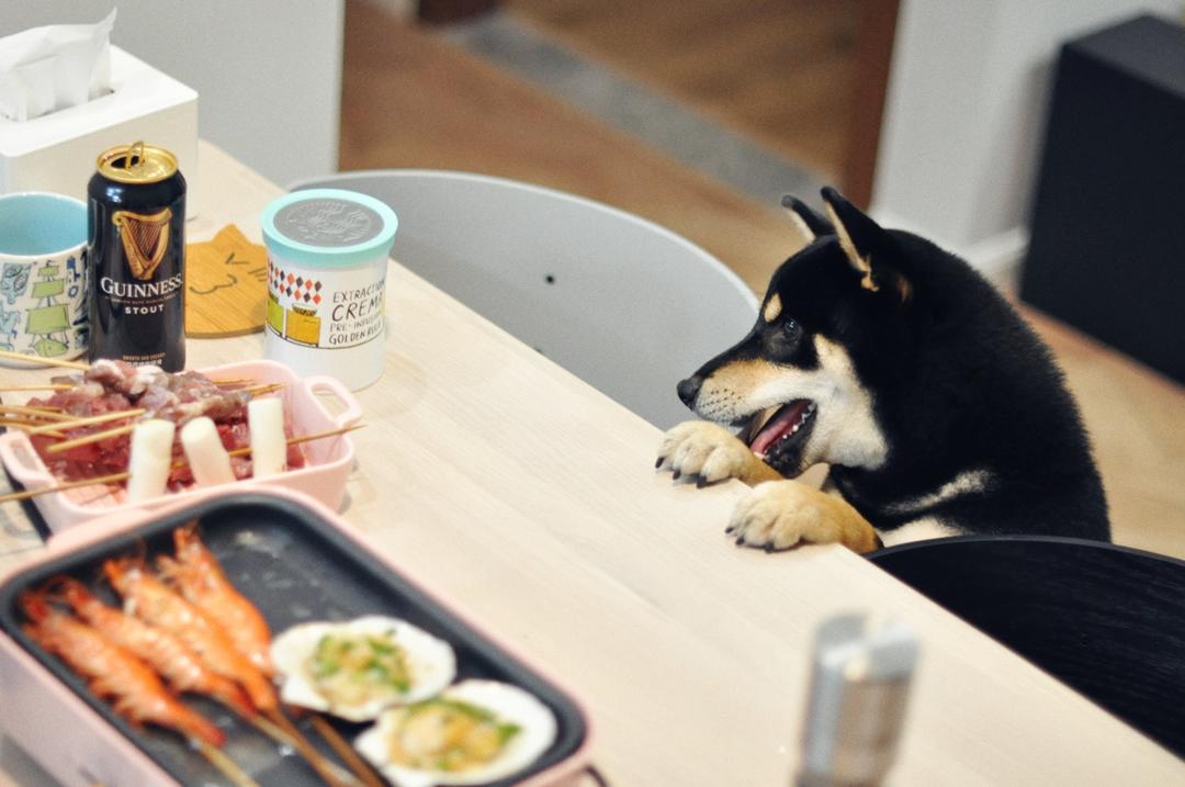 高颜值居家铁板烧