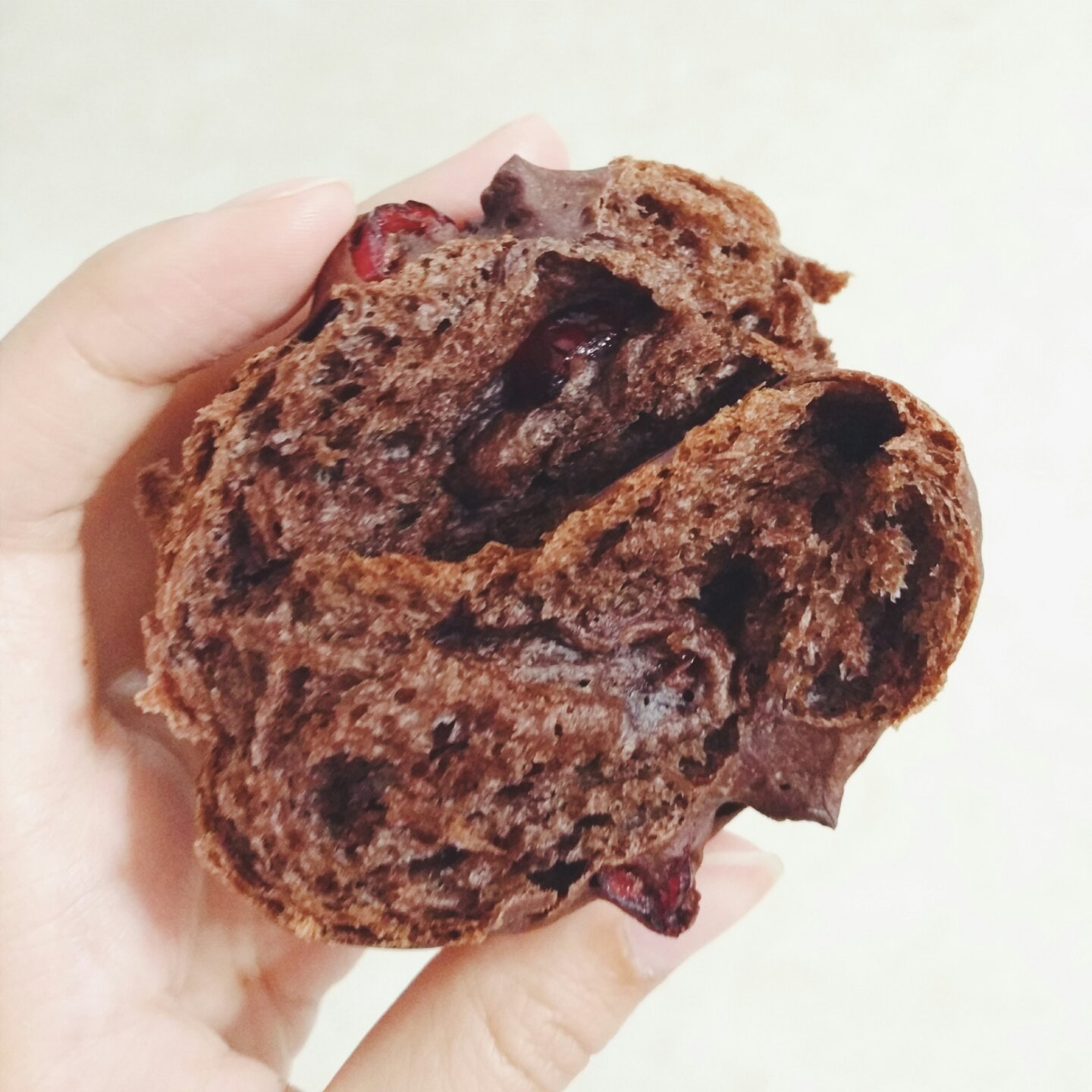 可可蔓越梅软欧~天然酵种(波兰种)