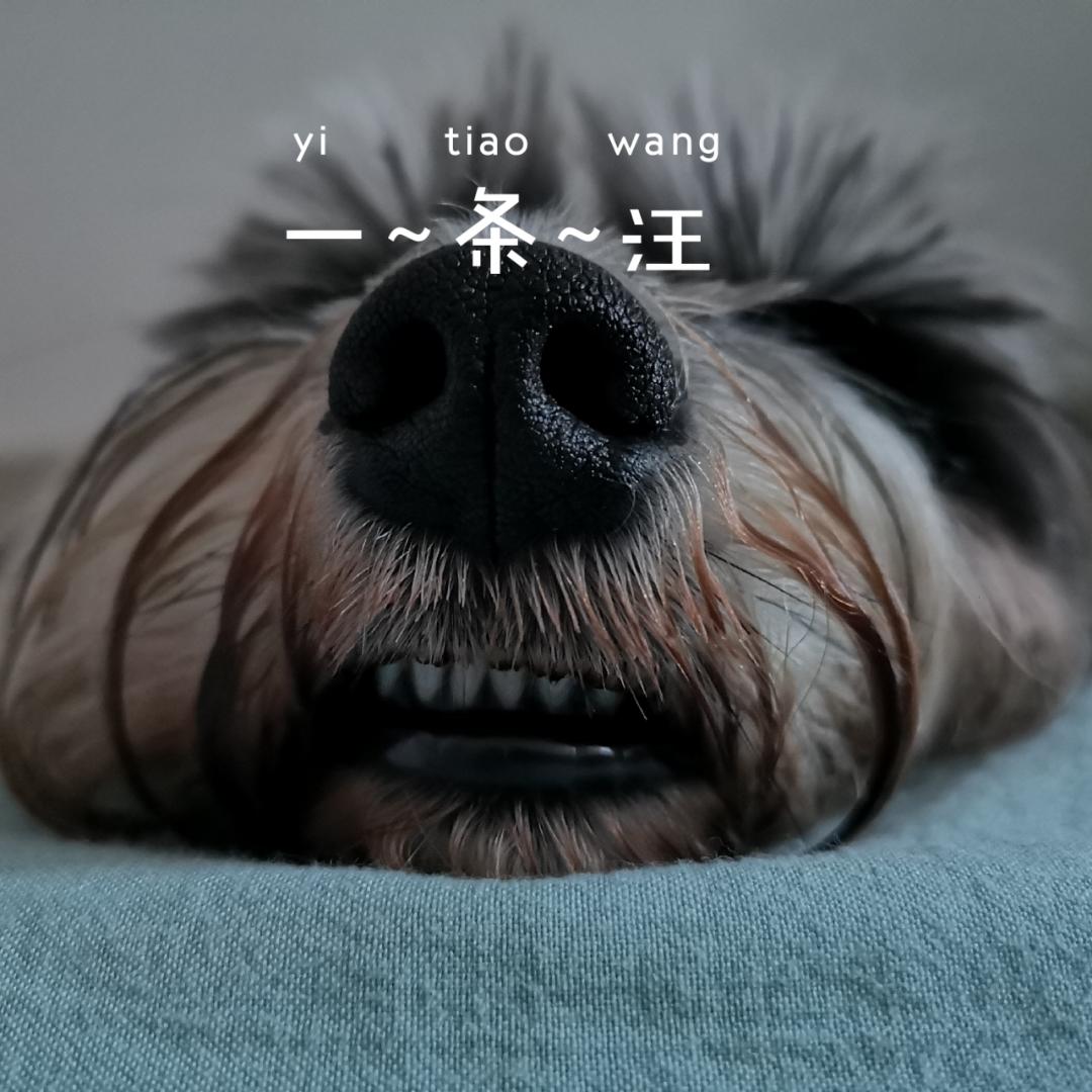 吖o丫i