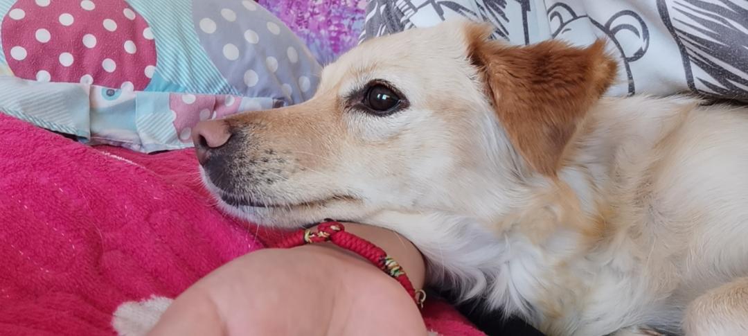 小张今天吃什么