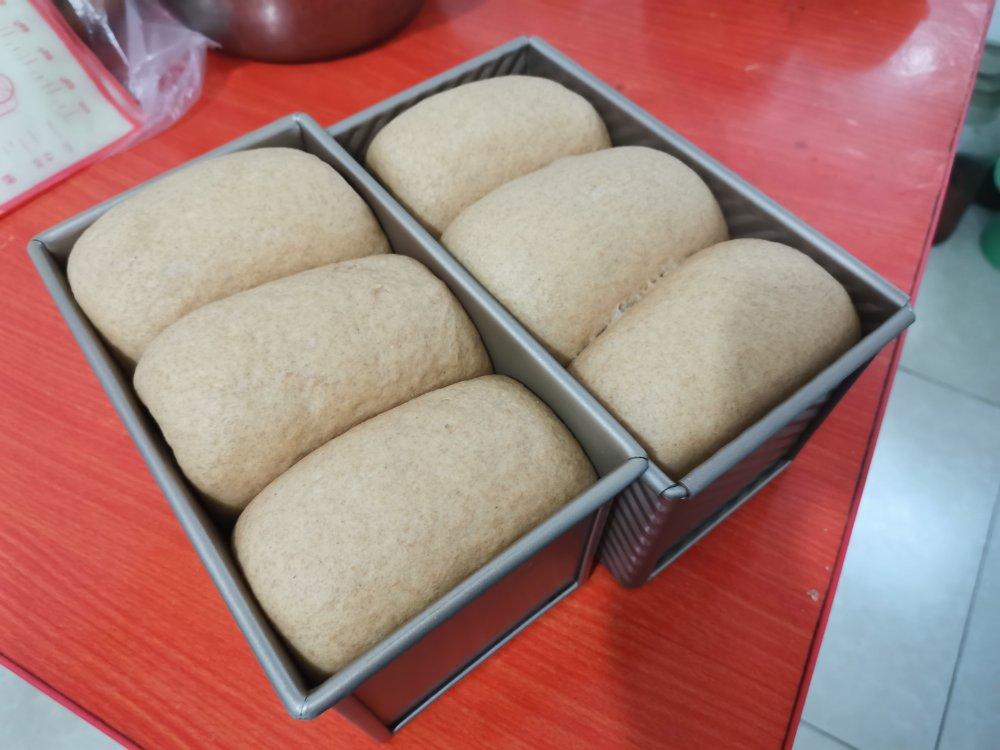 100%全麦吐司-你为啥要吃全麦粉？