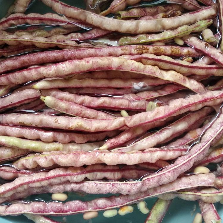 水煮山豆角的做法 步骤1