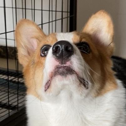 超超人_