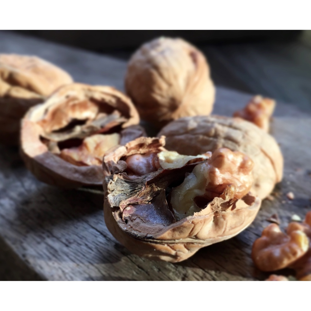 2017 从春约到冬