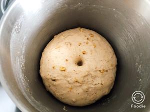 全麦核桃布鲁姆面包Bloomer的做法 步骤10