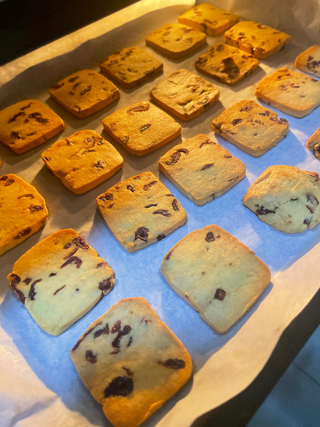 蔓越莓饼干 新手也不怕