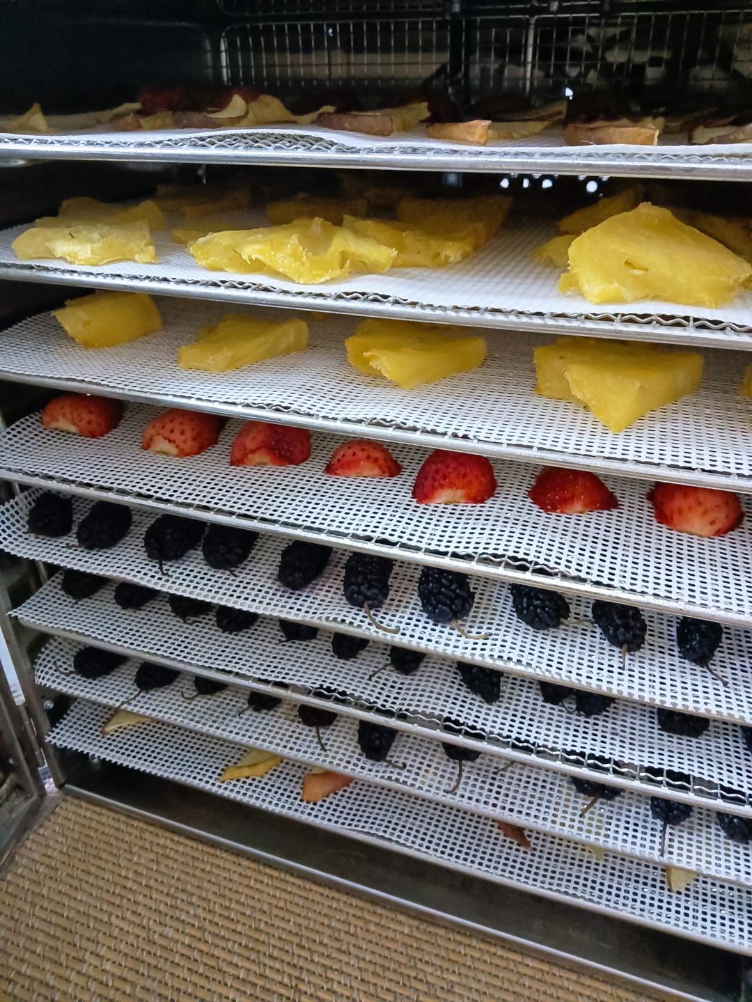 苹果菠萝草莓桑椹水果干