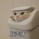 认真做猪食