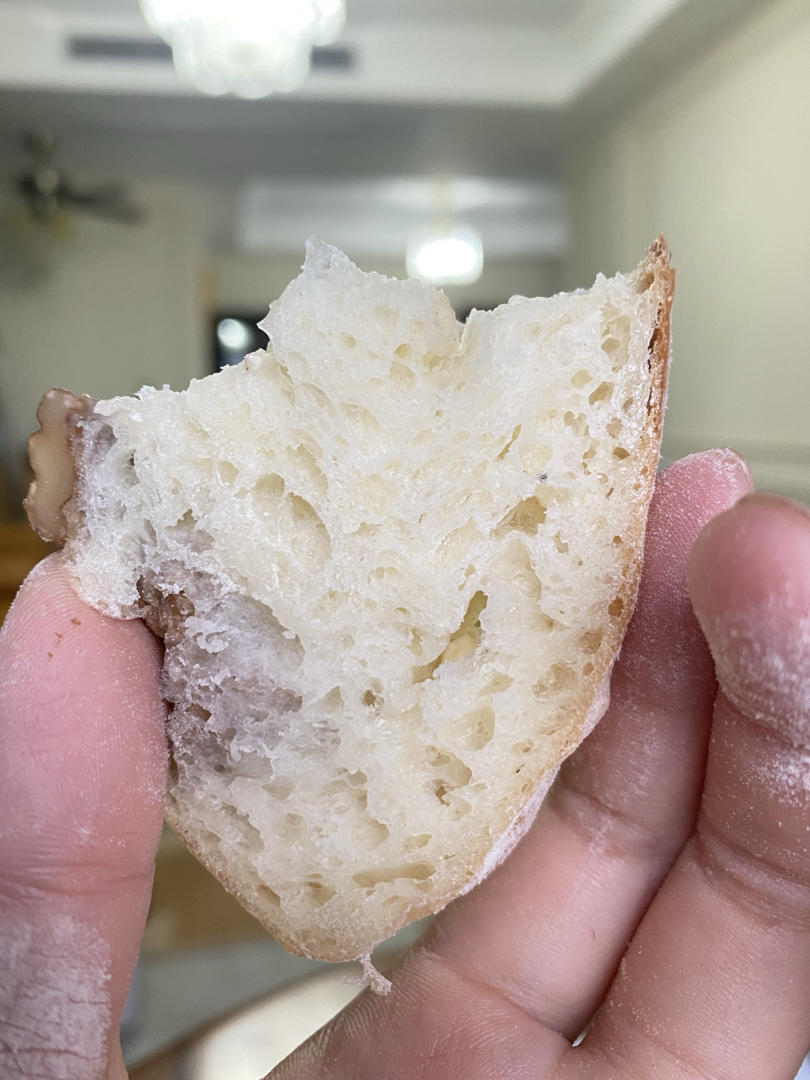 欧包的秘密（免揉/大孔洞/核桃/超简单）