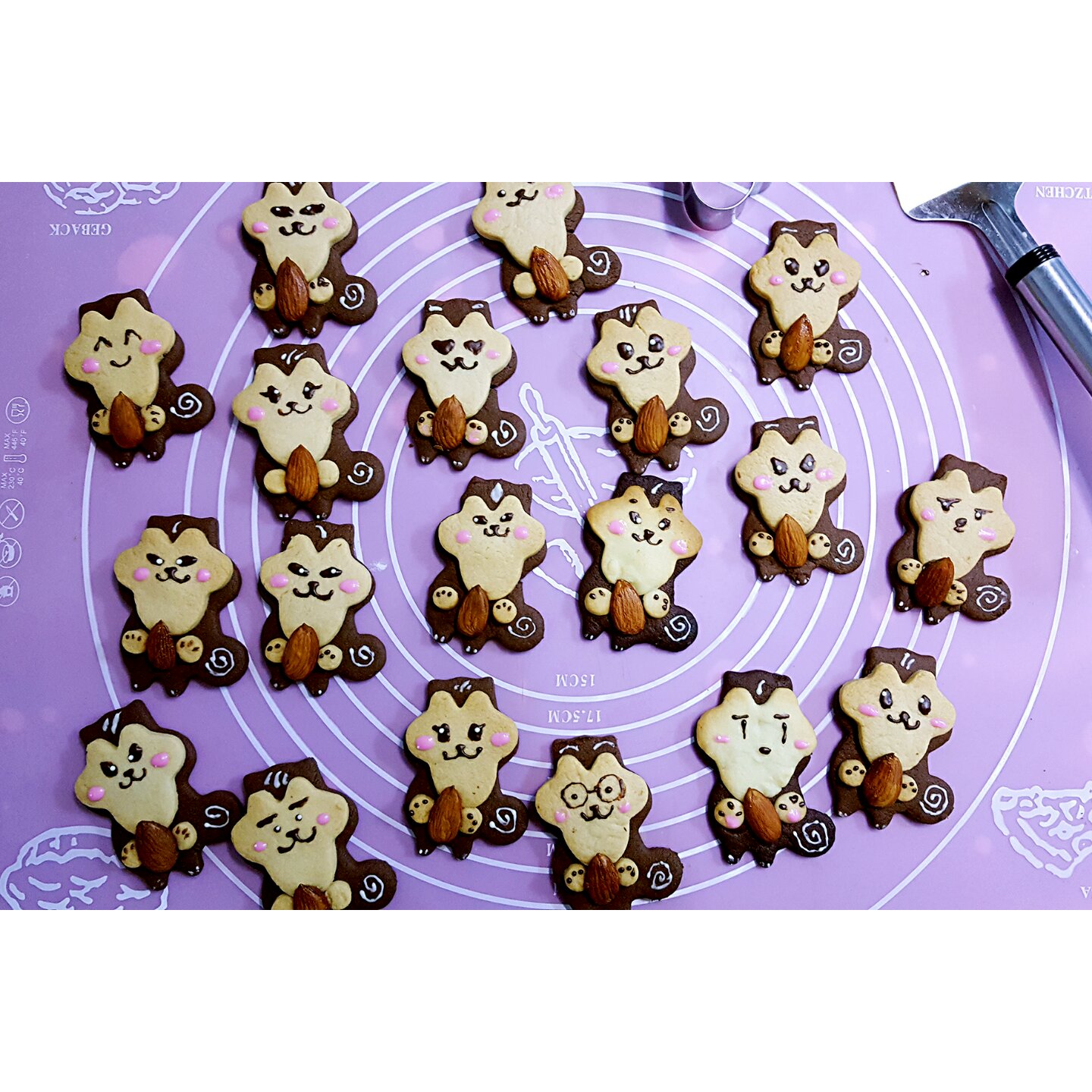 卡通动物立体饼干--抱大杏仁的小松鼠