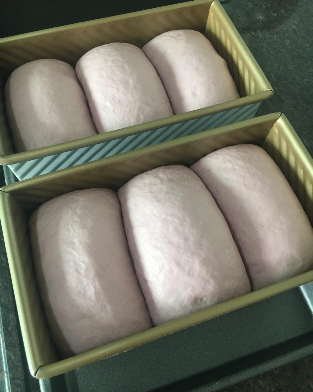 我的100个吐司练习