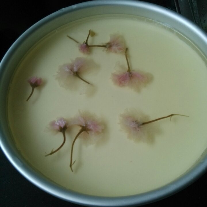 樱花双色紫薯慕斯