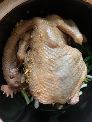 沙姜焗鸡（砂煲版）的做法 步骤8