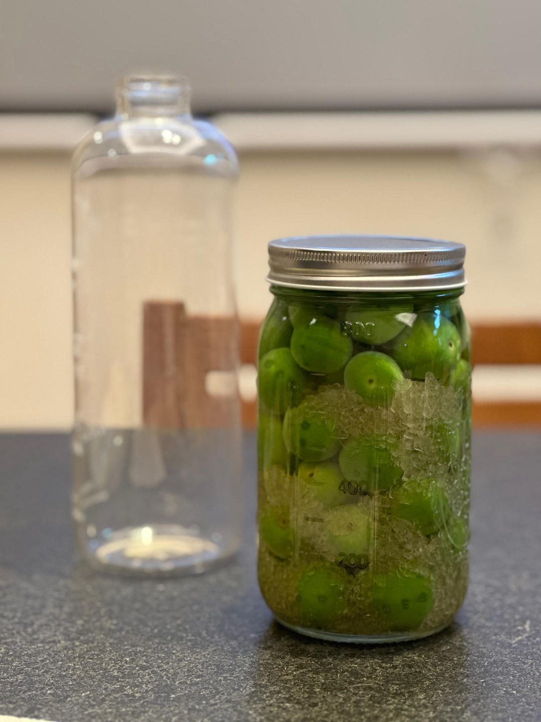 【青梅酒】梅子的沉醉时光（已填坑）