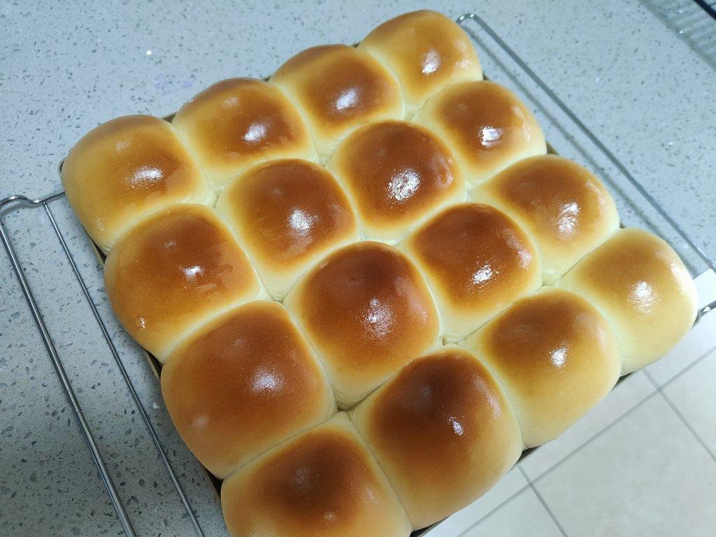 鲜奶油小餐包（一次发酵）