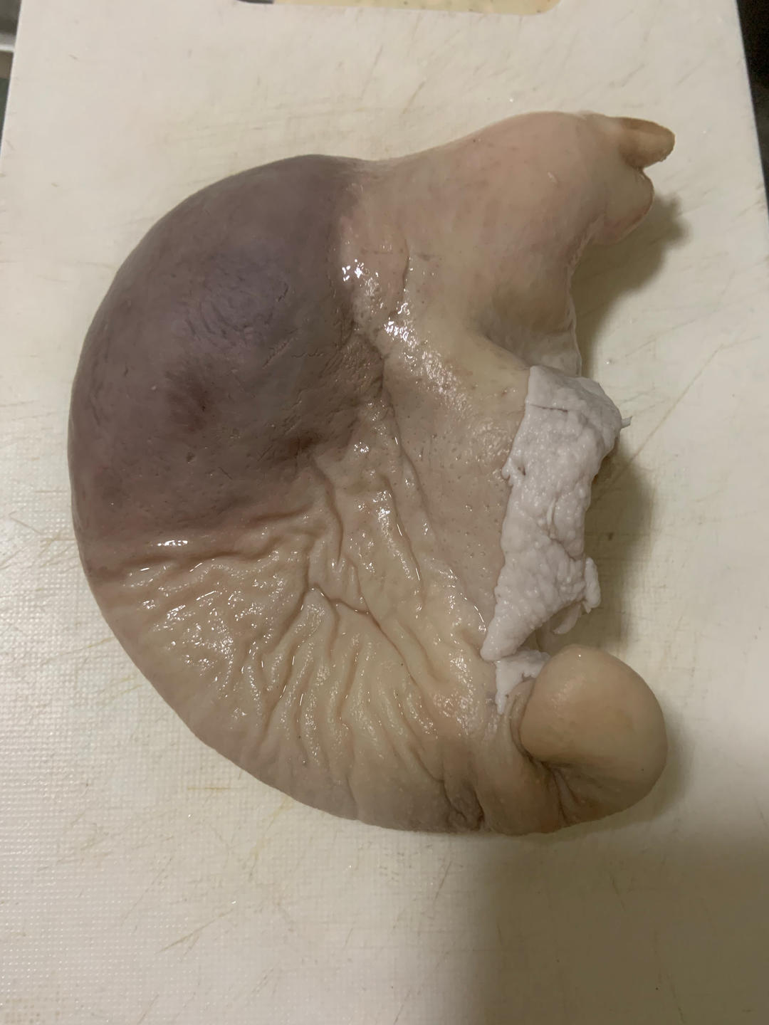 最牛的处理猪肚方法