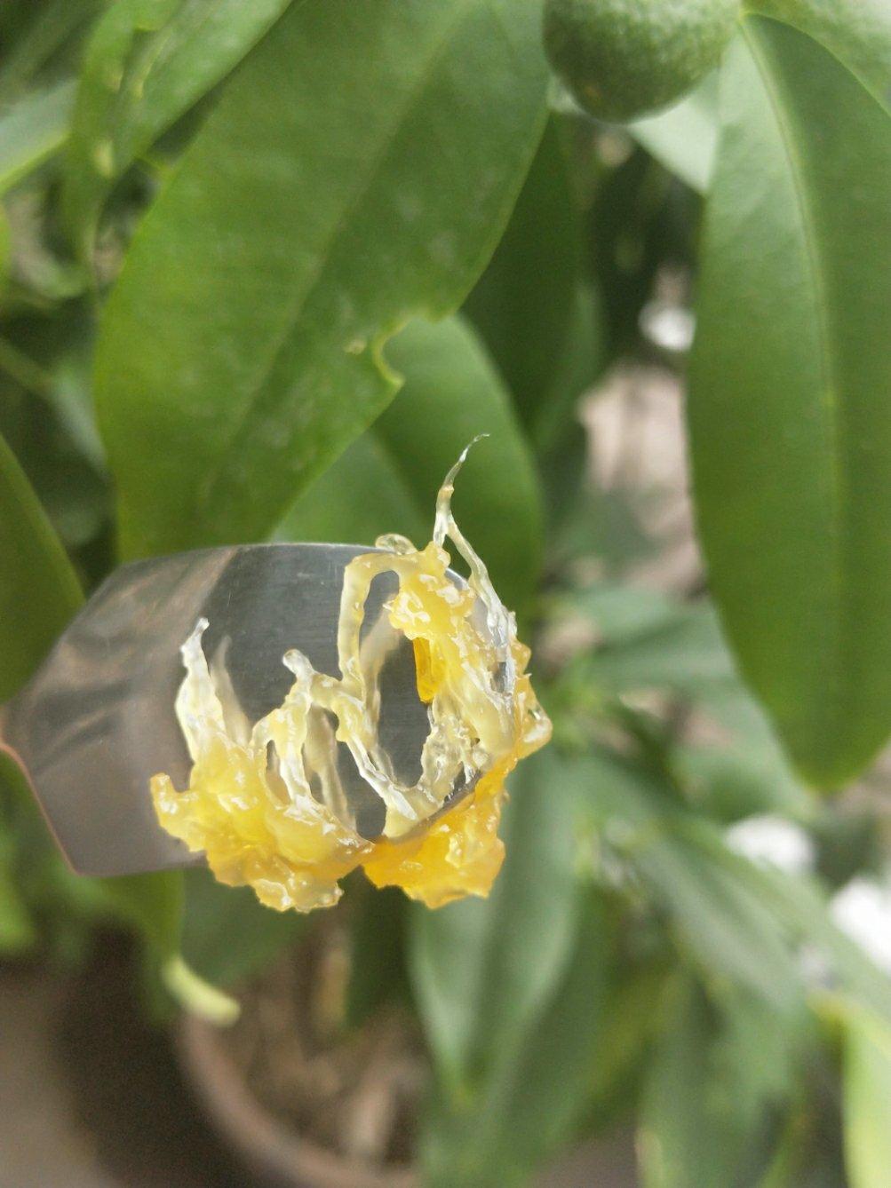 🍍原汁原味的凤梨馅 by pink-rabbit