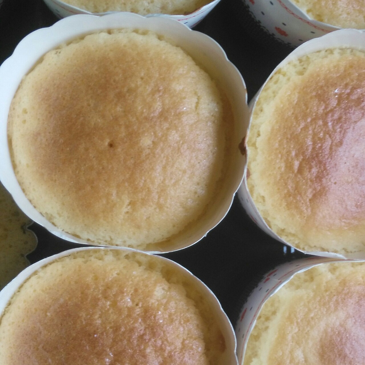 不会回缩的纸杯蛋糕--海氏烤箱定制