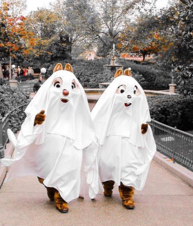 不要熬夜要早起