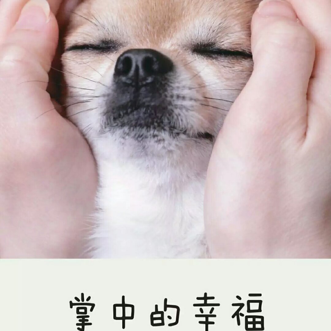 遗失的贝儿学烘焙