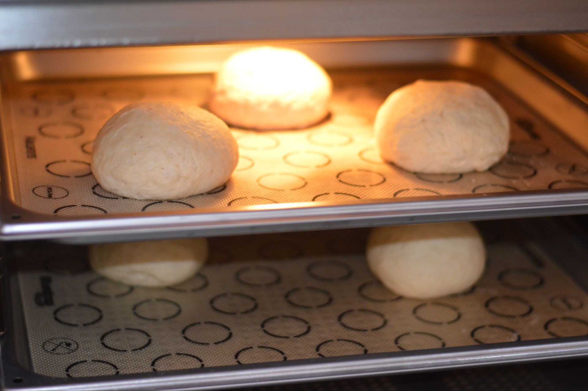 芒种麦香面包的做法 步骤7