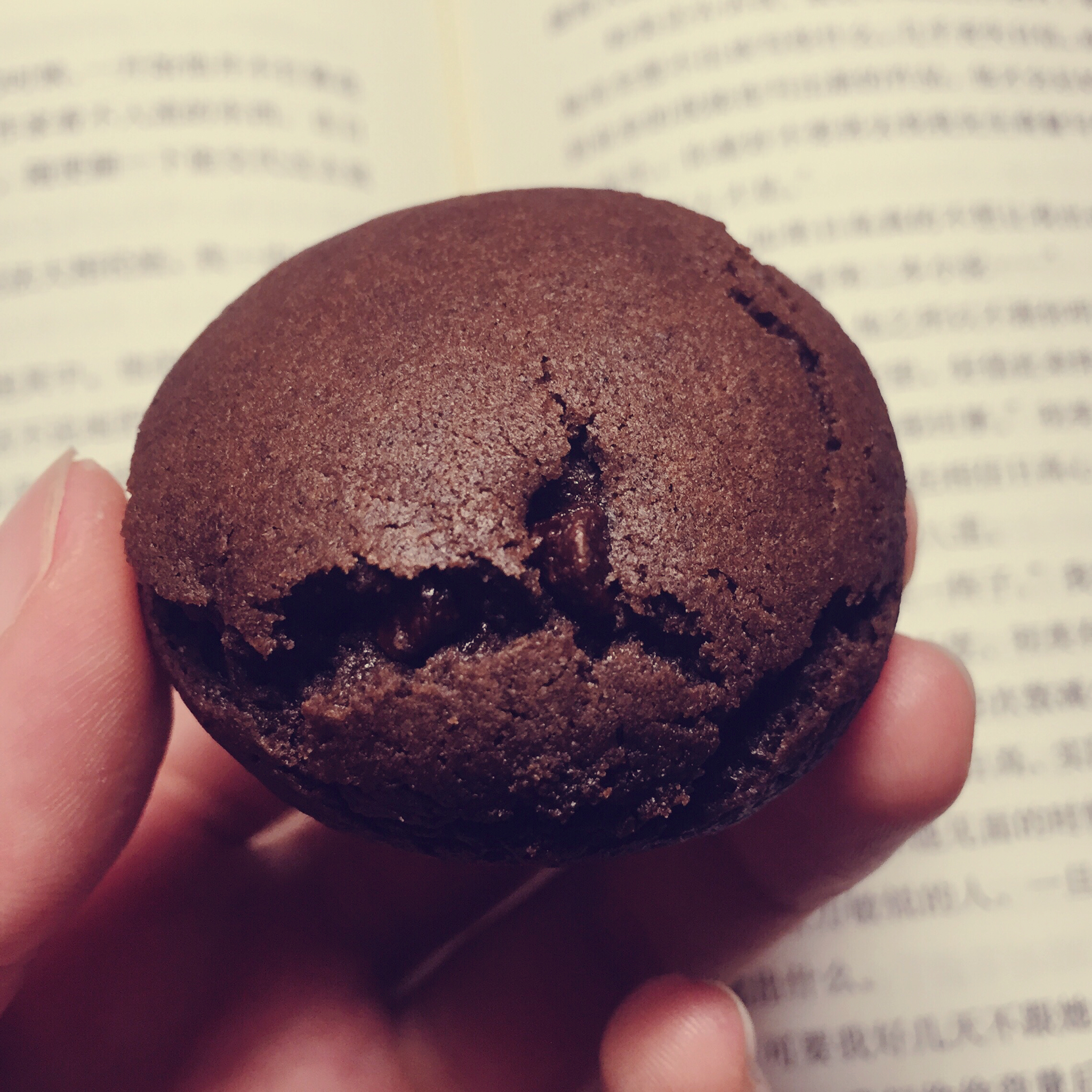 巧克力豆曲奇(Chocolate Chip Cookies)