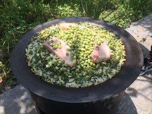 立夏饭（野火饭，豌豆饭）的做法 步骤5