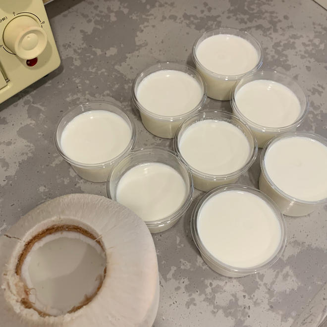 【椰子冻🥥的做法步骤图,椰子冻🥥怎么做好吃】用户3790_kogz_下厨房