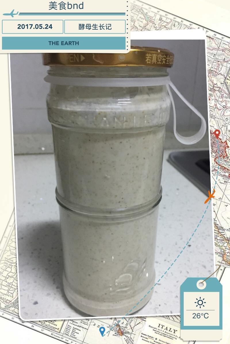 天然酵母宝宝养成记
