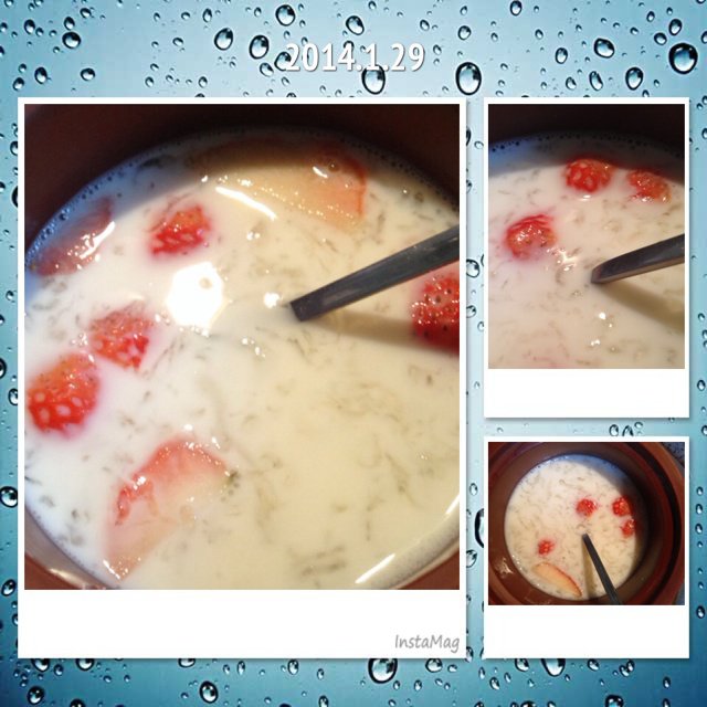 木瓜牛奶炖燕窝