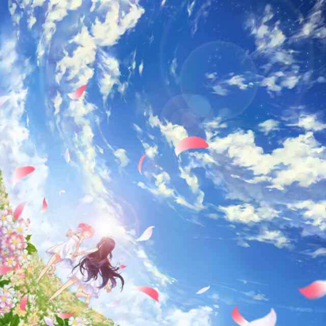 Rosice考拉