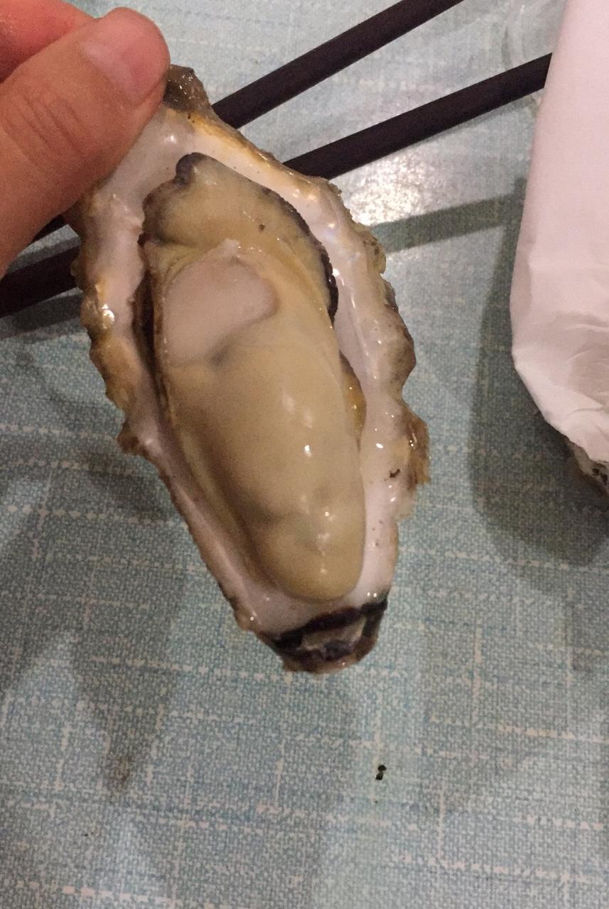 浅浅的，爱你很久…
