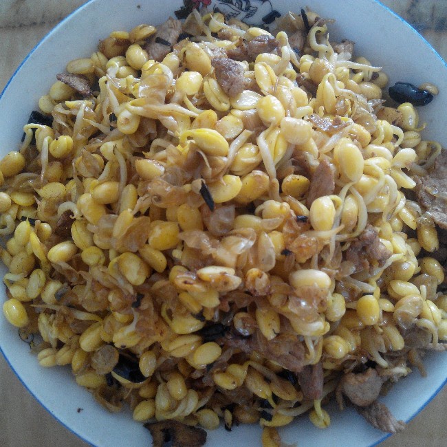 清炒黄豆芽