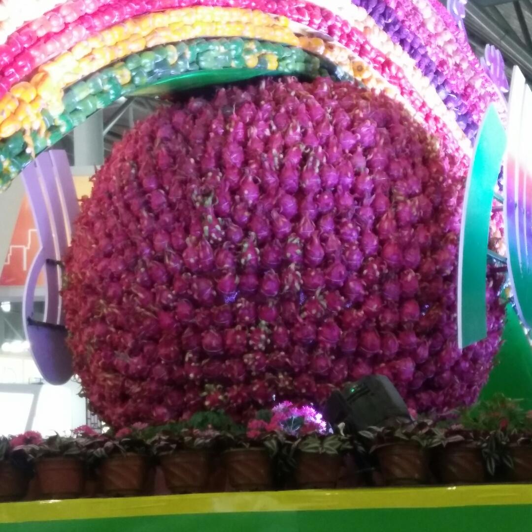 手机用户1544_mftc