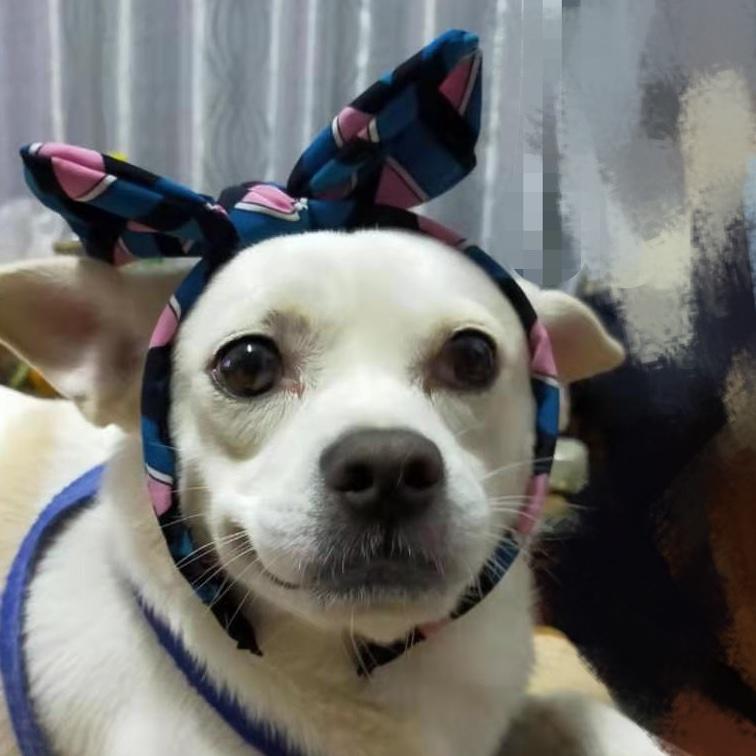 伊稚斜