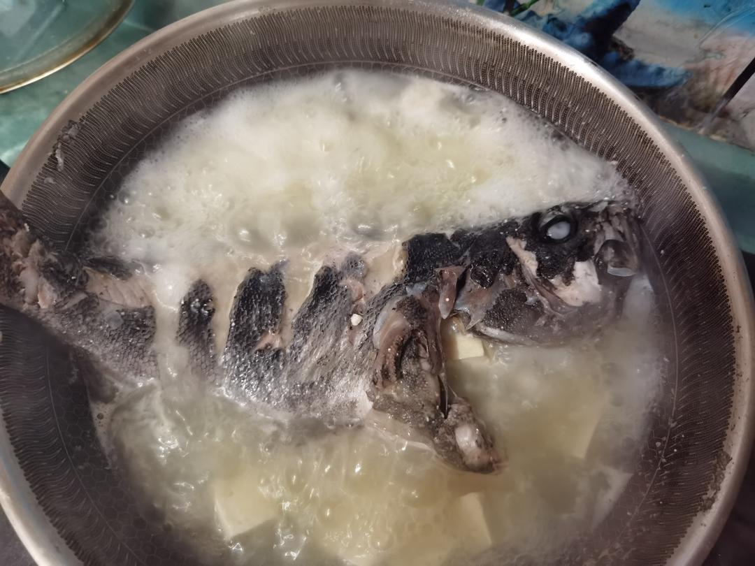 又鲜又浓的黑头鱼汤